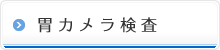 胃カメラ検査